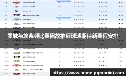 曼城与埃弗顿比赛因故推迟球迷期待新赛程安排